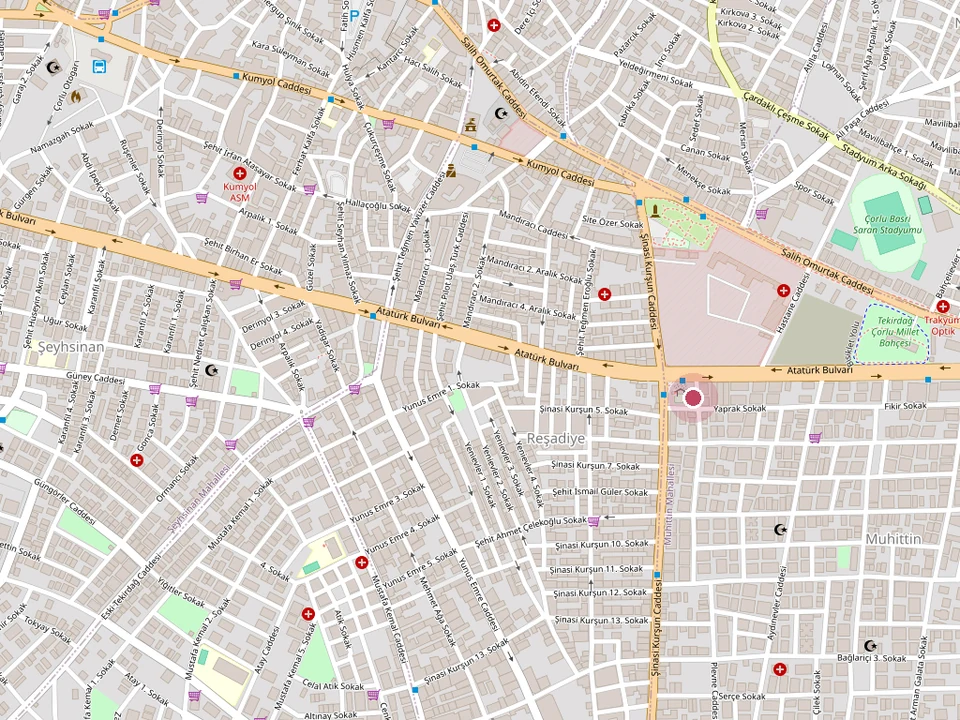 Aleyna Spa'nın Çorlu Santral'deki konumu — Santral Işıklar No: 2, Muhittin Mahallesi (OpenStreetMap)